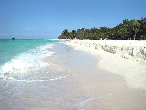 Der weiße Sandstrand der Malediven